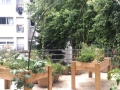 Découverte des jardins cachés de Paris
