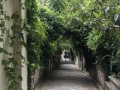 Paris et ses passages secrets