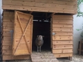 Ferme de la goutte d'or