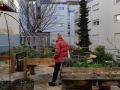 Jardins Solidaires