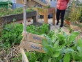 Jardins Solidaires